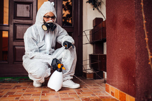 Reliable Bed Bug Control contractor in Springdale, AR by Nex Pest Control
