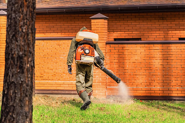 Top rated local Bed Bug Control specialists in Springdale, AR